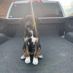 Meet your Posher, Garrett